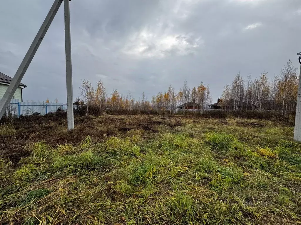 Участок в Нижегородская область, Нижний Новгород Михальчиково кп, ул. ... - Фото 1