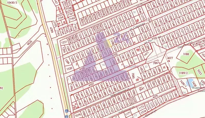 Участок в Алтайский край, Первомайский район, с. Фирсово, Рощино мкр ... - Фото 2