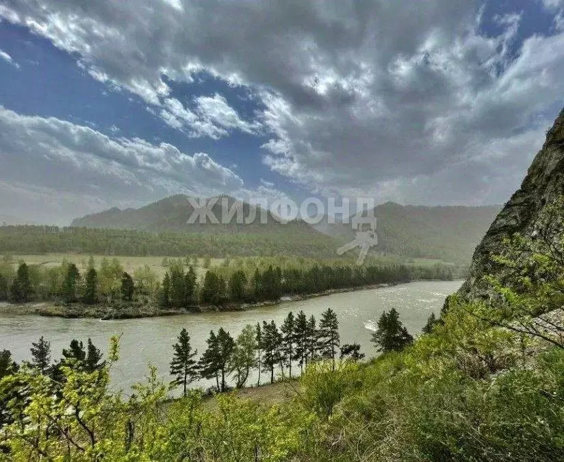 Участок в Алтай, Чемальский район, с. Чемал ул. Кедровая (440.0 сот.) - Фото 1