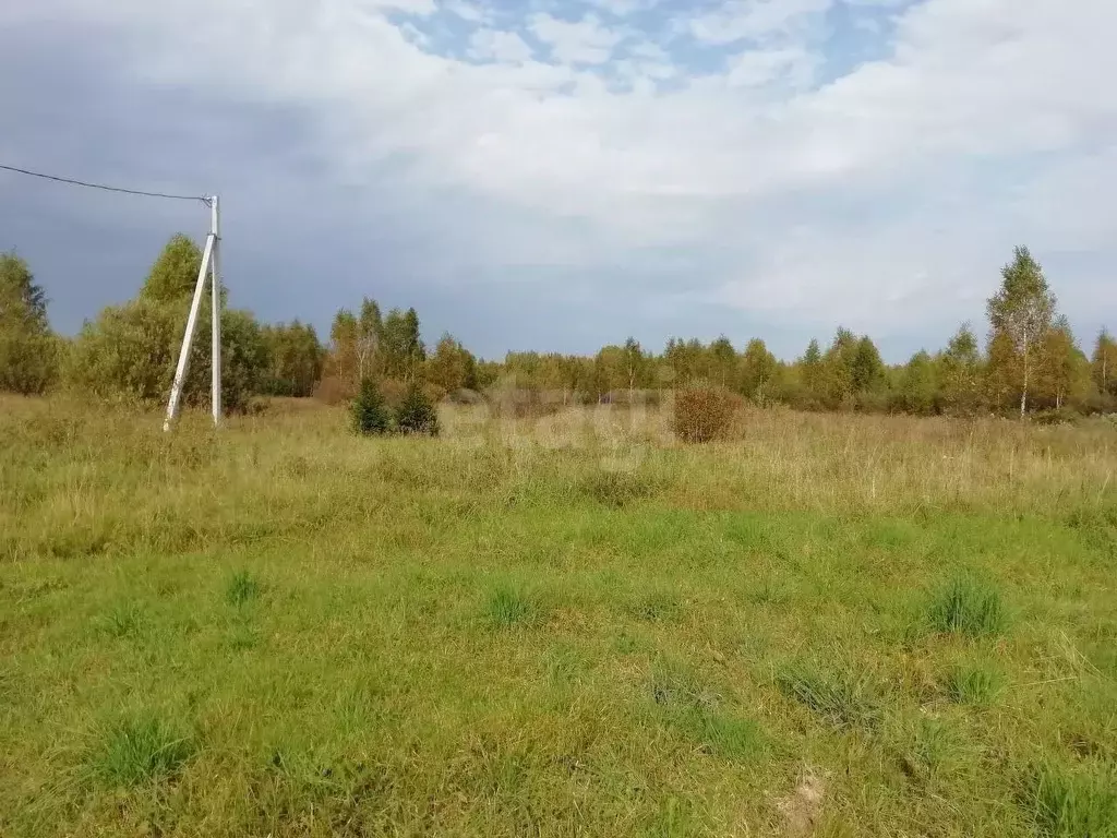 Участок в Ярославская область, Рыбинский муниципальный округ, д. ... - Фото 1