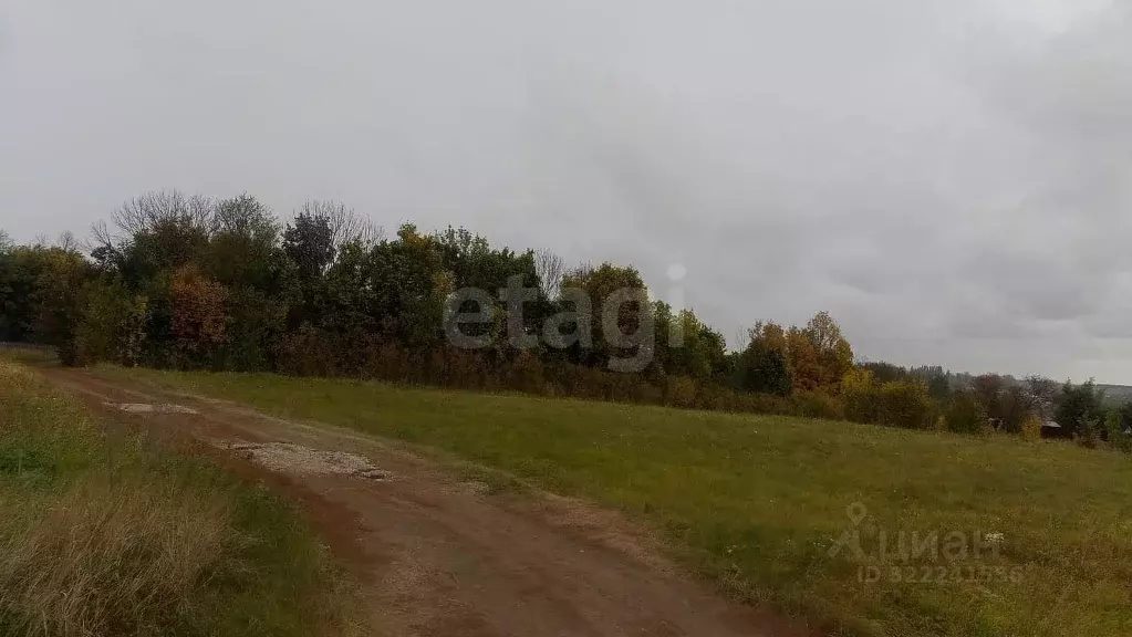 Участок в Воронежская область, Семилукский район, с. Землянск  (17.22 ... - Фото 2