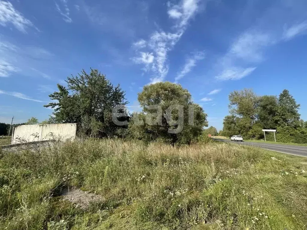 Участок в Брянская область, Жирятинское с/пос, д. Старое Каплино  ... - Фото 1