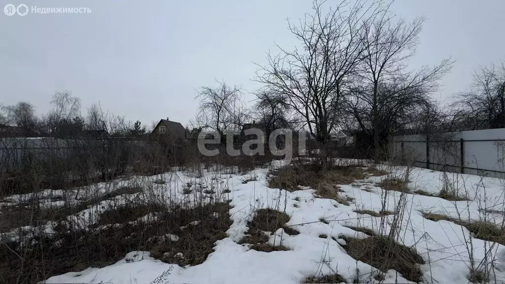 Участок в Рамонский район, Новоживотинновское сельское поселение, СНТ ... - Фото 2