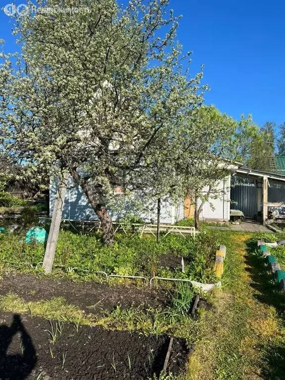 Участок в Озерск, СНТ Малая Нанога (6 м) - Фото 0