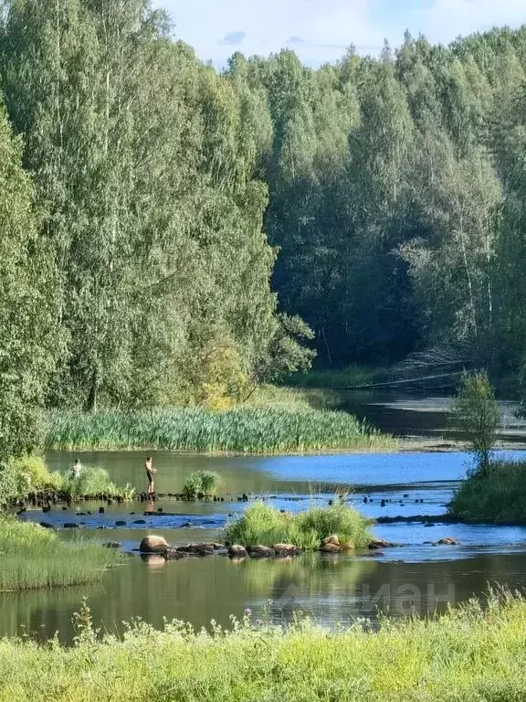 Дом в Карелия, Олонец  (50 м) - Фото 1