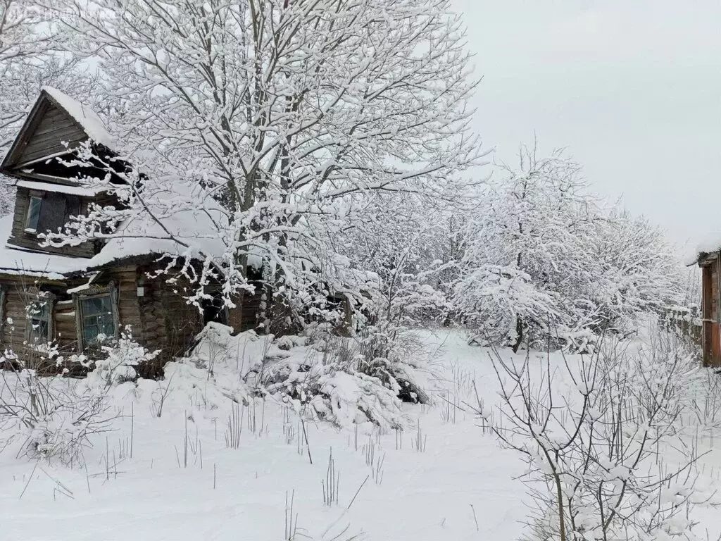 Участок в Назиевское городское поселение, деревня Замошье, 38 (13 м) - Фото 0