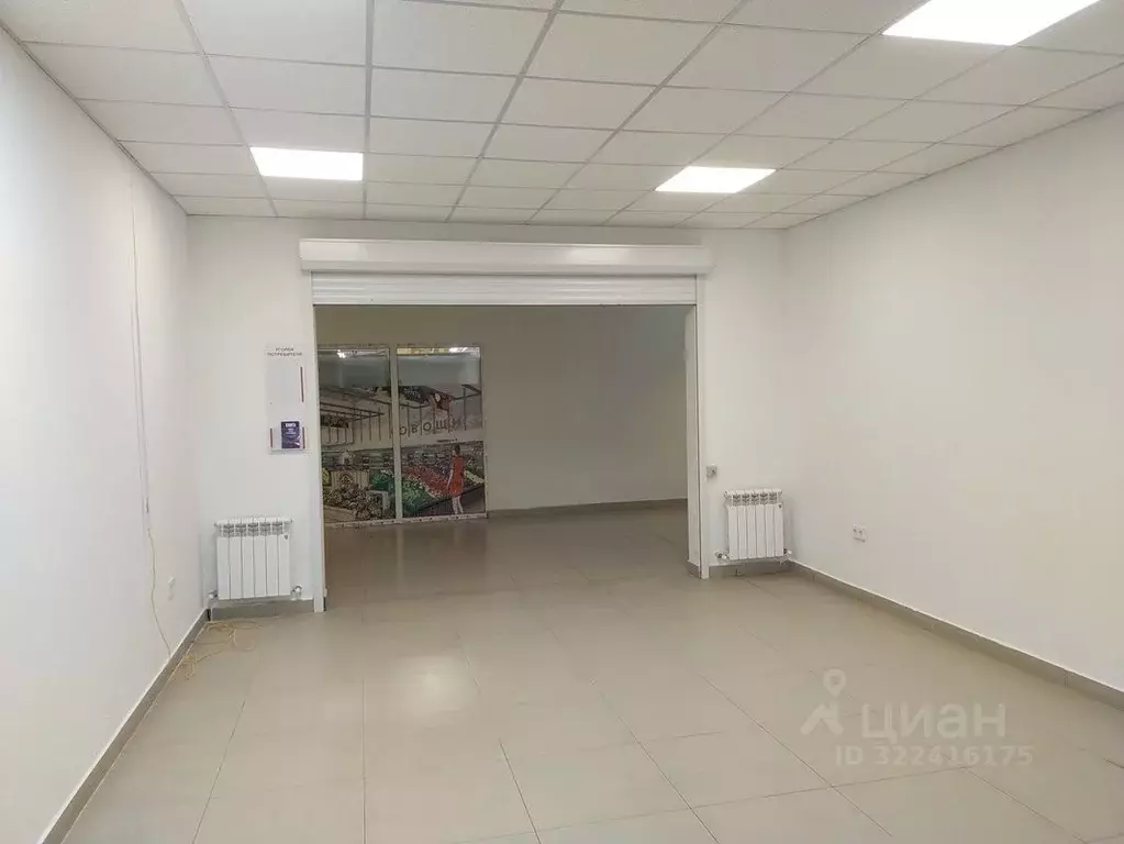 Торговая площадь в Краснодарский край, Сочи ул. Гастелло, 29 (33 м) - Фото 1