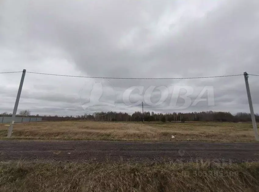 Участок в Тюменская область, Нижнетавдинский район, с. Тюнево  (9.5 ... - Фото 0