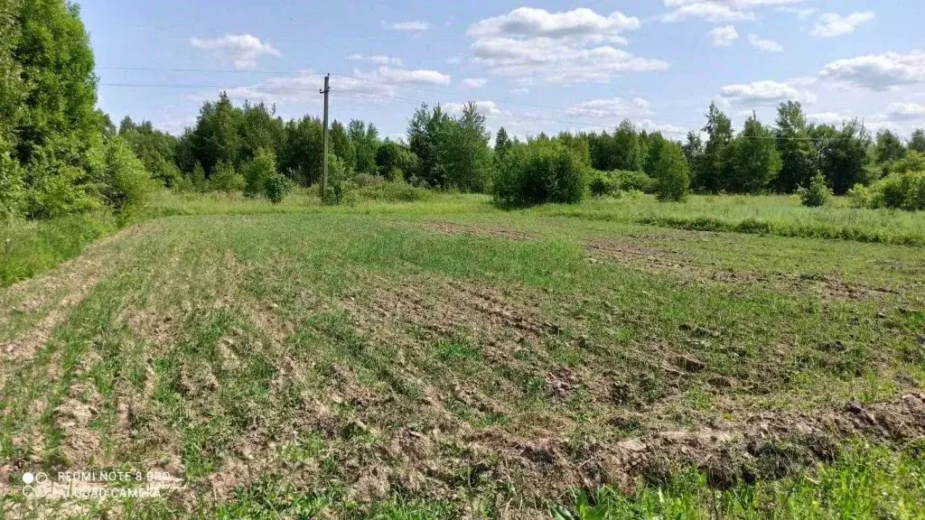 Участок в Нижегородская область, д. Долотково ул. Деревня Долотково ... - Фото 0