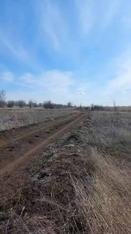 Участок в Волгоградская область, Среднеахтубинский район, ... - Фото 0