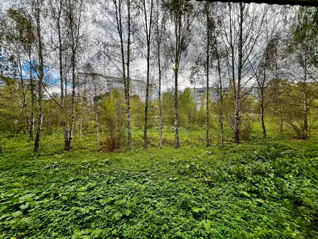 1-комнатная квартира: Златоуст, Олимпийская улица, 9 (34.8 м) - Фото 1