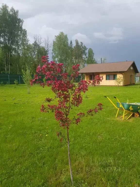 Дом в Ярославская область, Ярославский муниципальный округ, д. Белкино ... - Фото 0