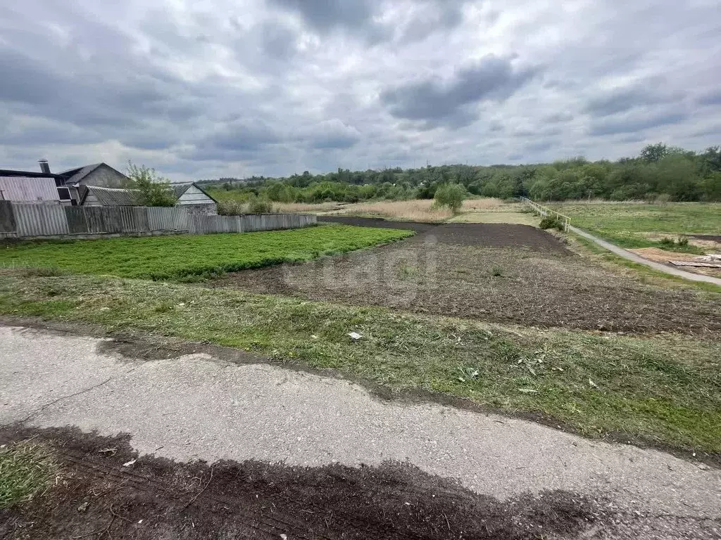 Участок в Белгородская область, Белгородский муниципальный округ, с. ... - Фото 1
