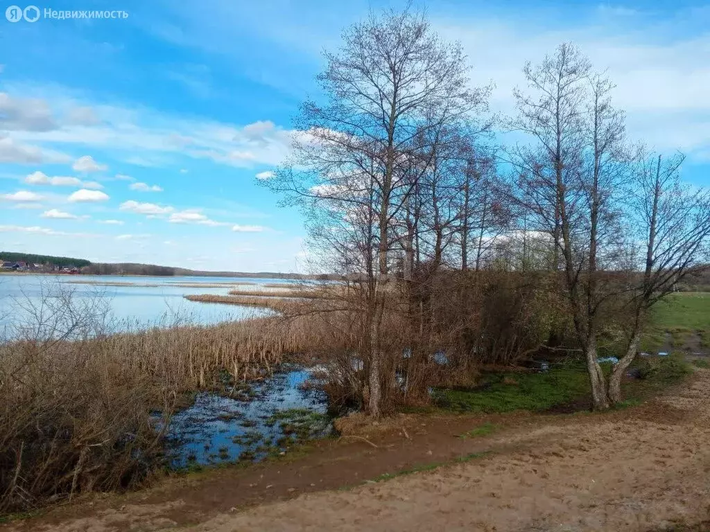 Участок в Нижегородская область, Богородский муниципальный округ, ... - Фото 0