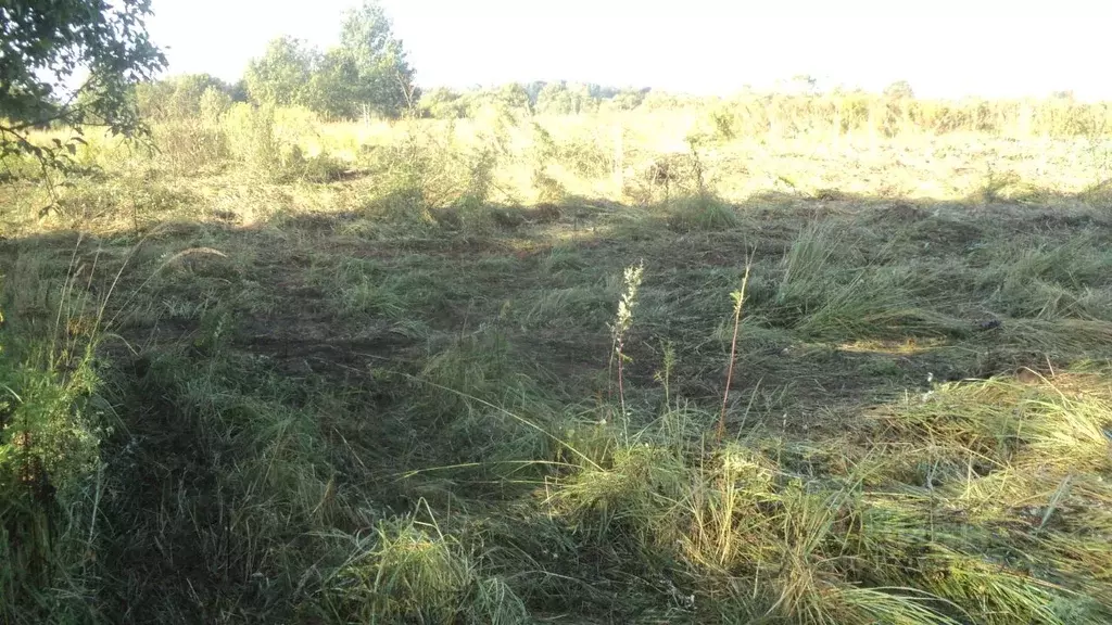 Участок в Калининградская область, Краснознаменский муниципальный ... - Фото 0