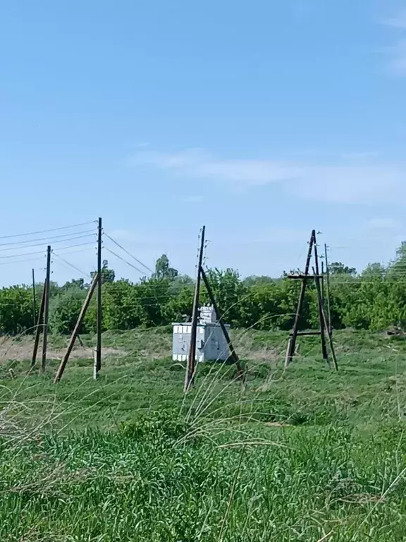 Участок в Алтайский край, Смоленский район, с. Смоленское ул. Соболева ... - Фото 2