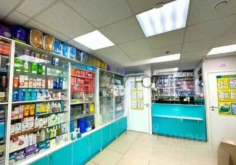 Торговая площадь в Московская область, Домодедово Южный мкр, ул. ... - Фото 1