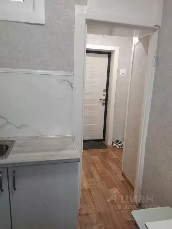 1-к кв. Новосибирская область, Новосибирск ул. Селезнева, 26/1 (24.0 ... - Фото 1