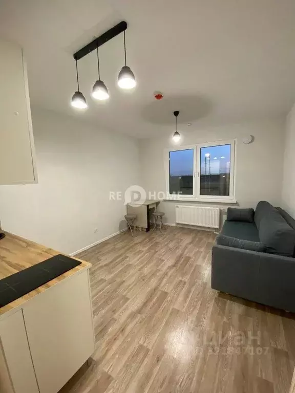 Студия Санкт-Петербург дор. Муринская, 27к3 (20.0 м) - Фото 1