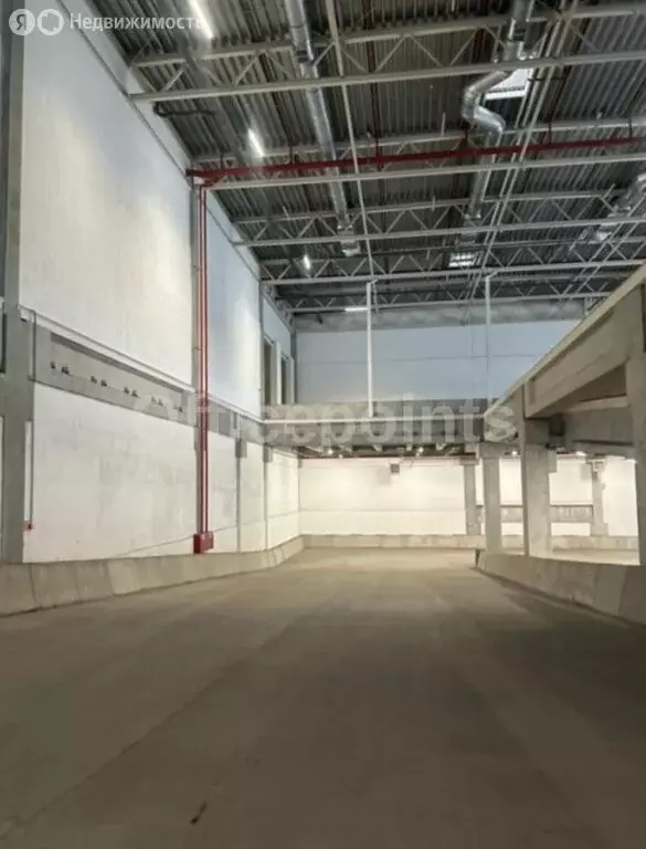 Помещение свободного назначения (875 м) - Фото 1