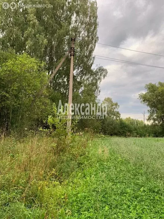 Участок в Приозерский район, Раздольевское сельское поселение, деревня ... - Фото 1