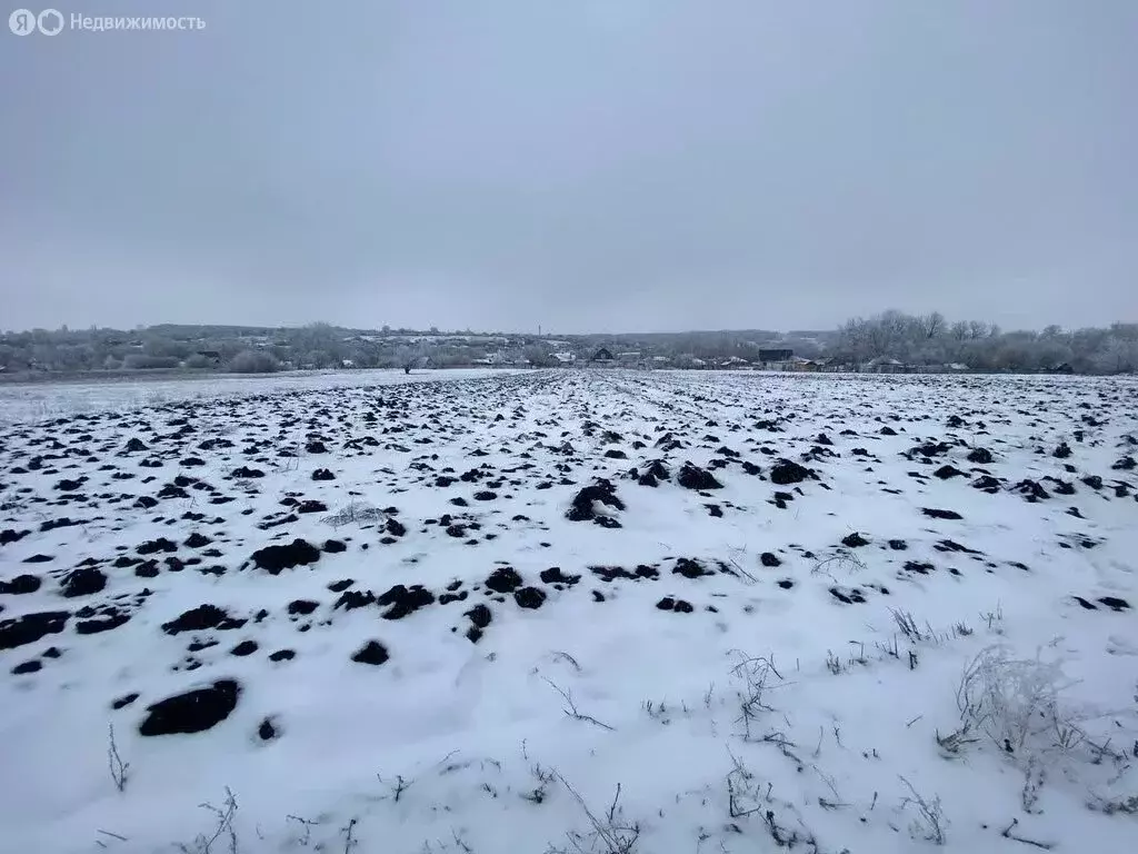 Участок в Медвежье, Заречная улица (26 м) - Фото 1