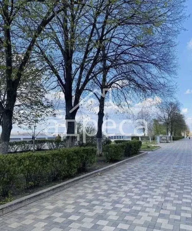 2-к кв. Самарская область, Самара ул. Максима Горького, 127 (51.4 м) - Фото 2