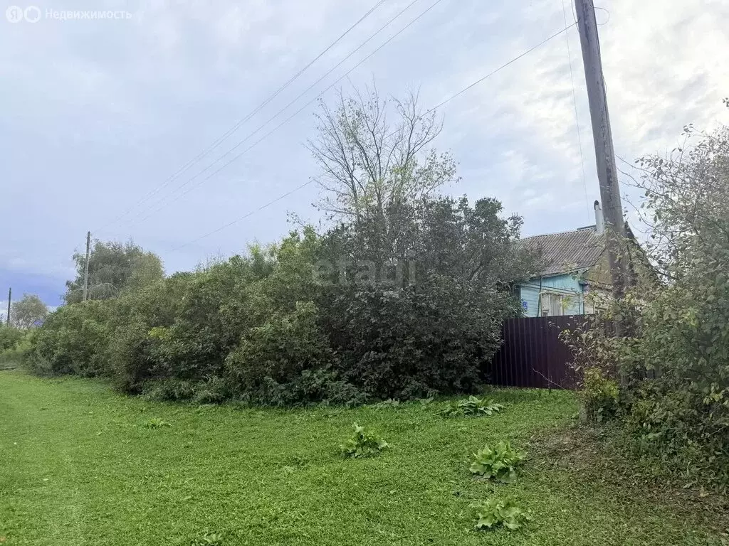 Участок в Тульская область, Венёвский муниципальный округ, село ... - Фото 2