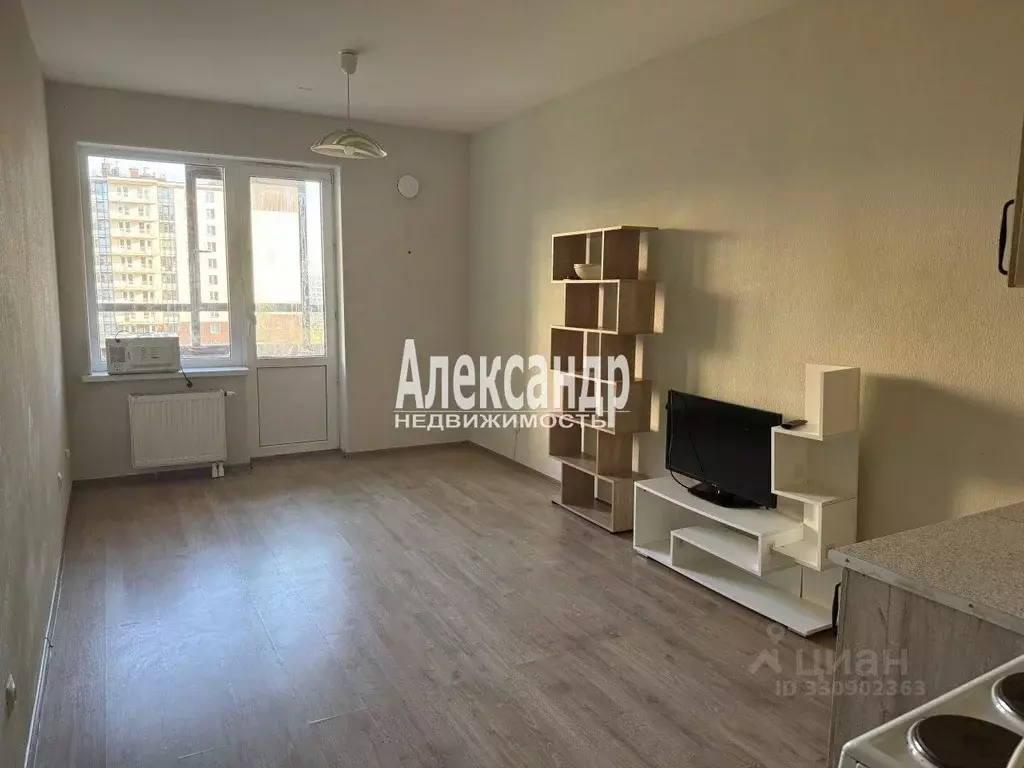 Студия Санкт-Петербург просп. Ветеранов, 171к4 (23.7 м) - Фото 1