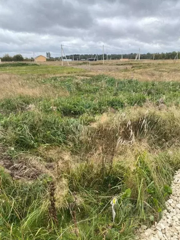 Участок в Ленинградская область, Ломоносовский район, Лопухинское ... - Фото 2