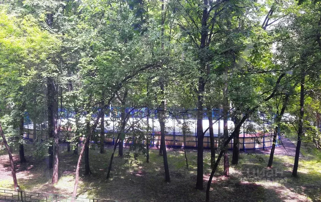 Комната Москва Ломоносовский просп., 33К2 (15.0 м) - Фото 2