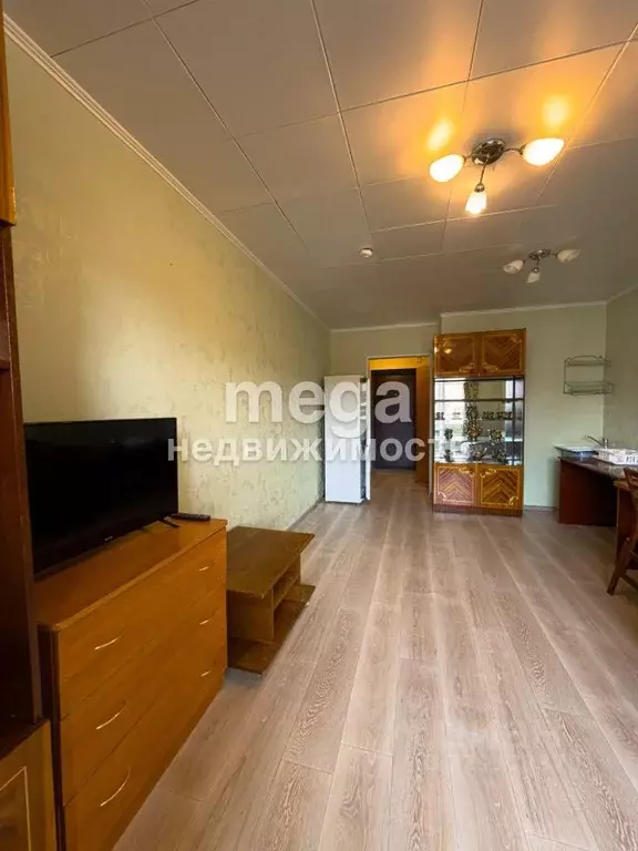 Студия Башкортостан, Уфимский район, Зубовский сельсовет, с. Зубово ... - Фото 2