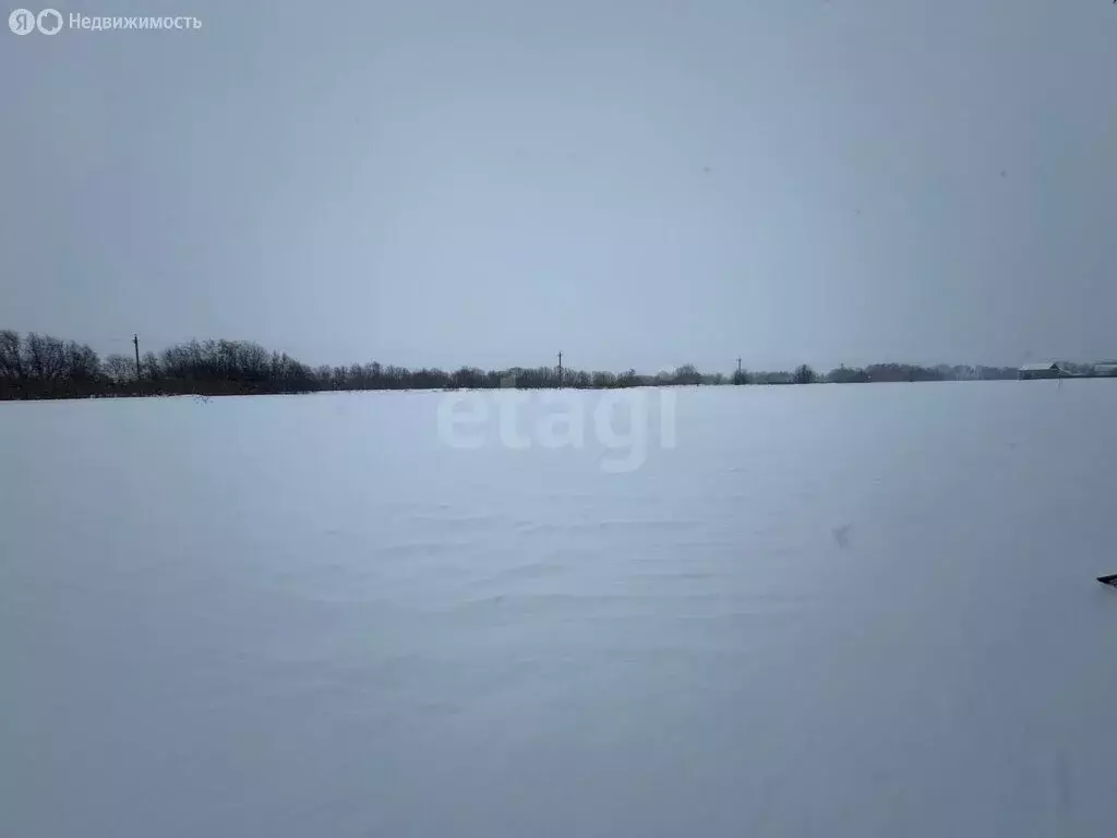 Участок в Архангельская область, Приморский муниципальный округ, ... - Фото 2