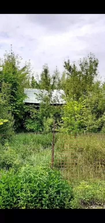 Участок в Нижегородская область, Богородский муниципальный округ, д. ... - Фото 1