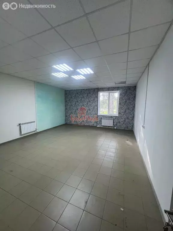 Помещение свободного назначения (37 м) - Фото 0