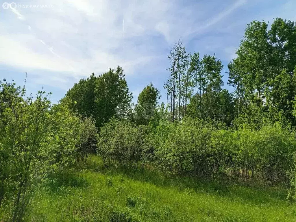 Участок в Тюменский район, село Борки (52.55 м) - Фото 0
