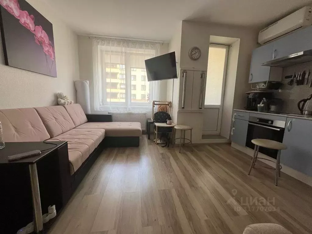 Студия Санкт-Петербург ул. Русановская, 16к3 (24.8 м) - Фото 1