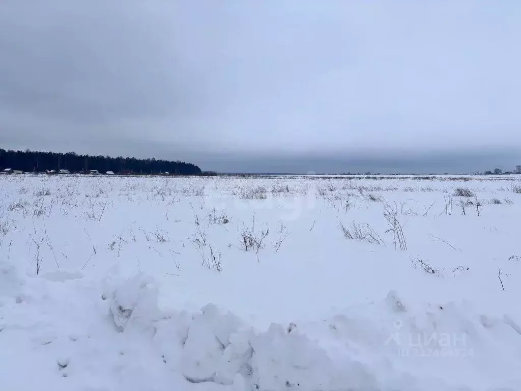 Участок в Кировская область, Киров городской округ, д. Гуси  (19.0 ... - Фото 0