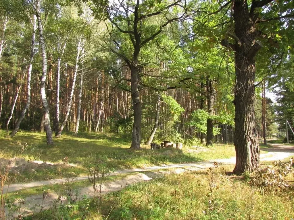 Дом в Московская область, Коломна городской округ, д. Бабурино  (45 м) - Фото 0