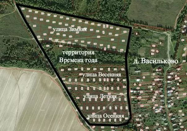 Участок в Нижегородская область, Бор муниципальный округ, д. ... - Фото 2