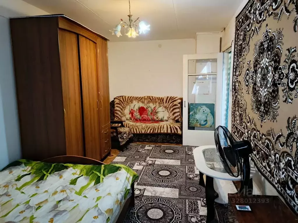 1-к кв. Челябинская область, Пласт ул. Строителей, 2 (28.9 м) - Фото 1