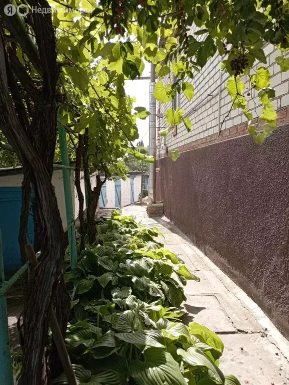 Дом в Михайловск, улица Фрунзе (84.5 м) - Фото 1