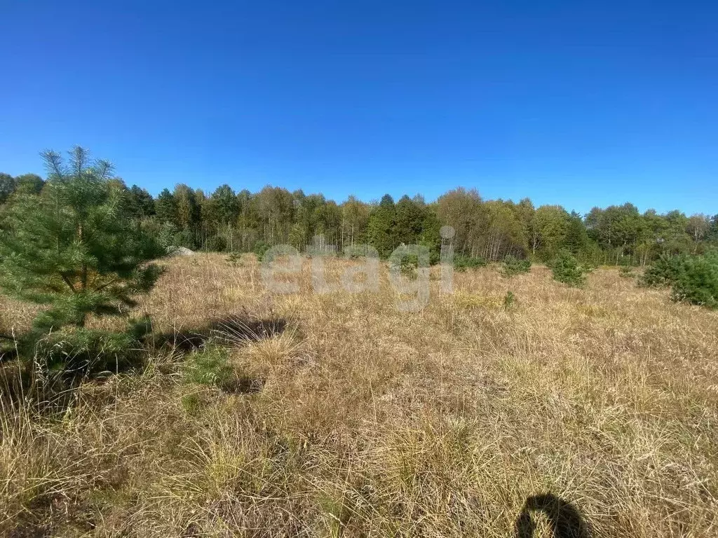 Участок в Брянская область, Брянский район, Новодарковичское с/пос, д. ... - Фото 1