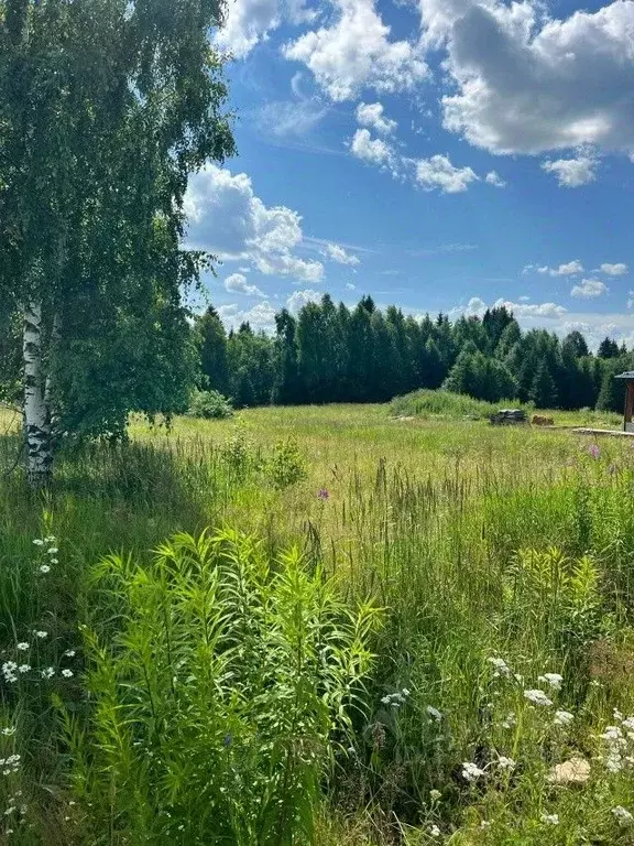 Участок в Удмуртия, Завьяловский район, д. Крестовоздвиженское ул. ... - Фото 2