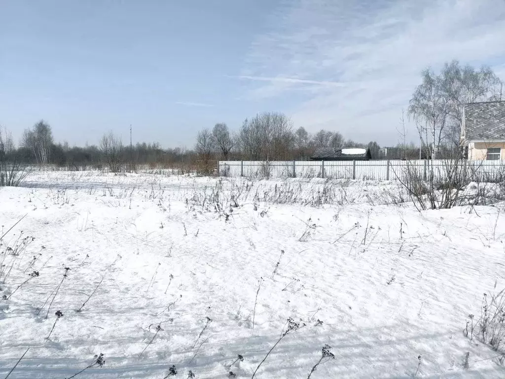 Участок в Брянская область, Брянск ул. Лобачевского (10.0 сот.) - Фото 2