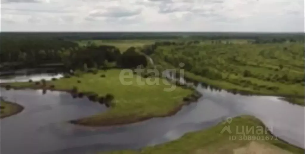 Участок в Тюменская область, Ярковский район, д. Липовка  (14.0 сот.) - Фото 0