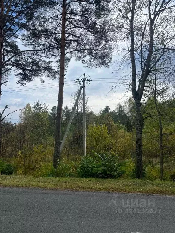 Участок в Брянская область, Брянский район, Журиничское с/пос, пос. ... - Фото 2