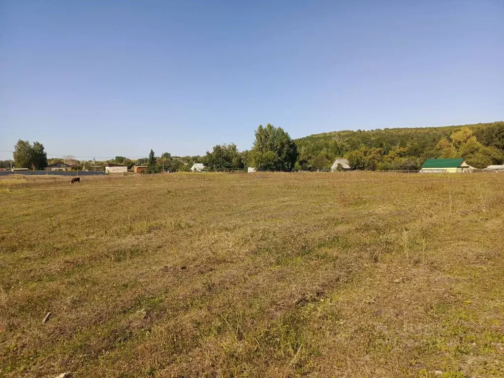 Участок в Мордовия, с. Кочкурово ул. Восточная, 15А (20.0 сот.) - Фото 2