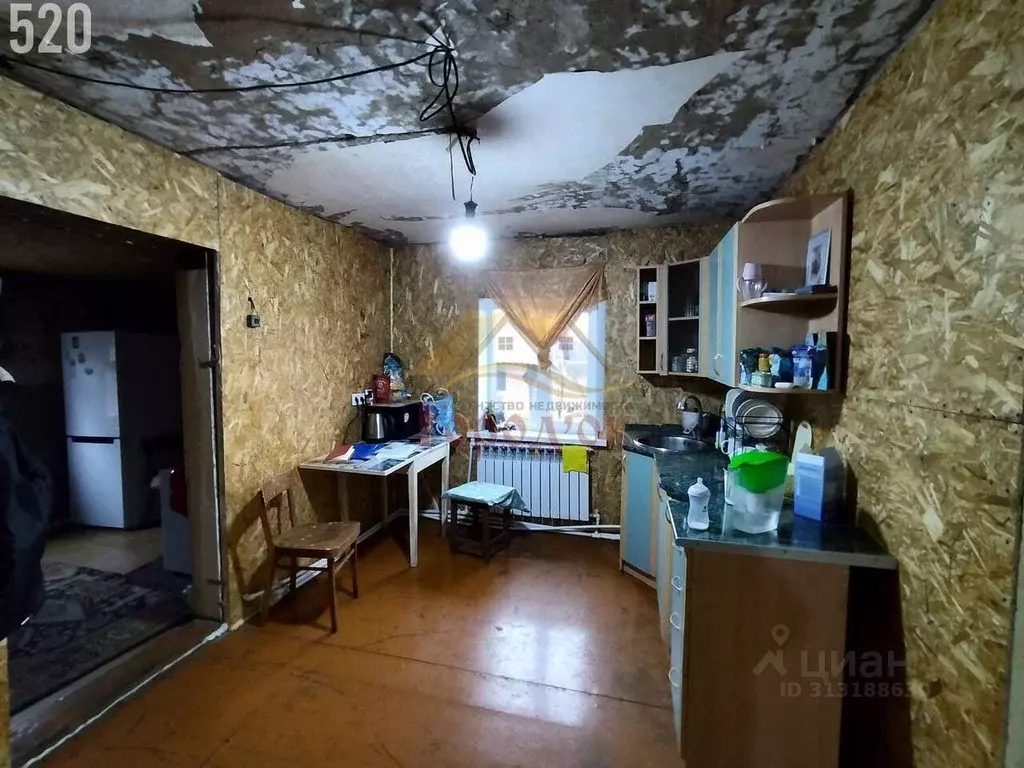 Дом в Воронежская область, Борисоглебский городской округ, с. Чигорак ... - Фото 1