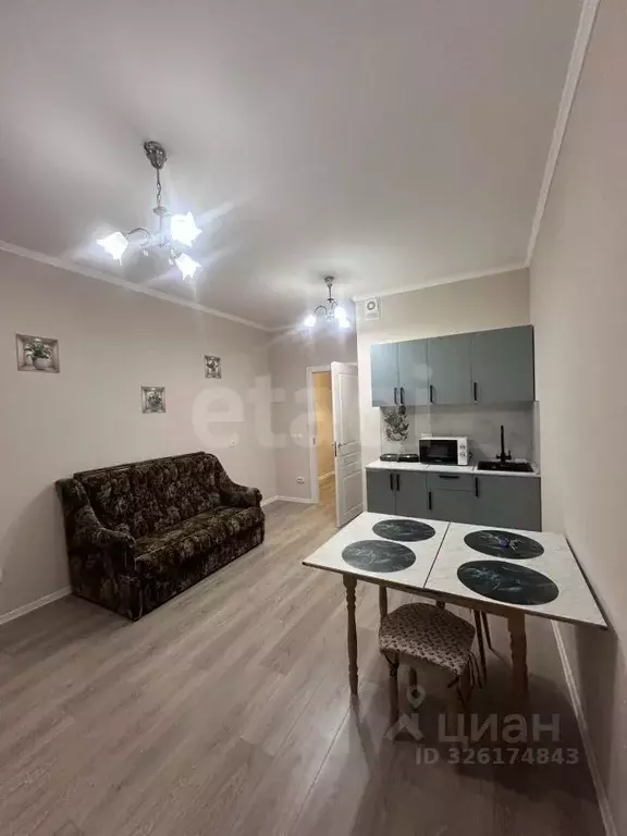 Студия Ленинградская область, Всеволожский район, Заневское городское ... - Фото 2